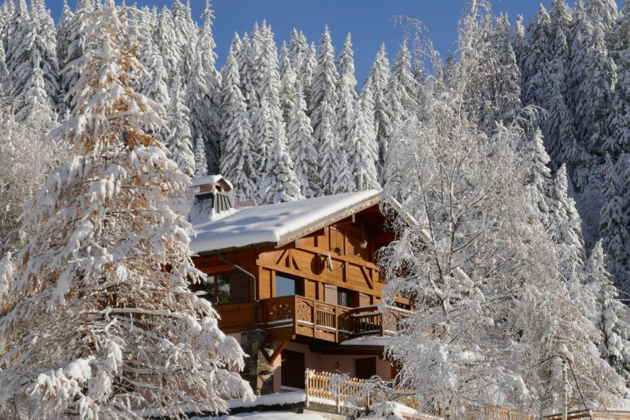 Les Saisies Cote Legette Appartement Dans Chalet Le Nepal מראה חיצוני תמונה